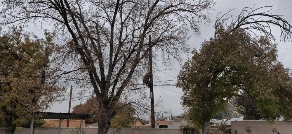 Slide of Five Star Electric