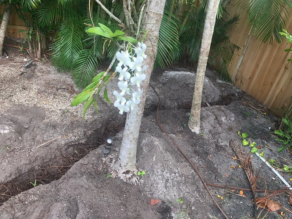 Slide of Five Star Electrical