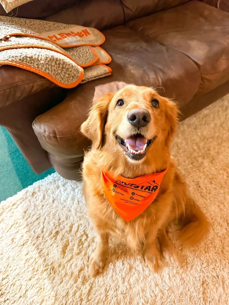 Slide of Five Star Plumbing Heating Cooling Electric