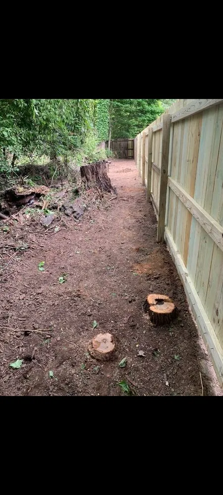 Slide of Fix All Pro