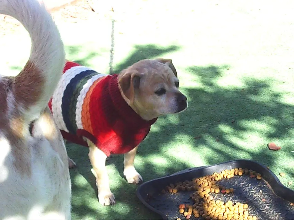 Slide of Fix-it 24/7 Plumbing, Heating, Air & Electric