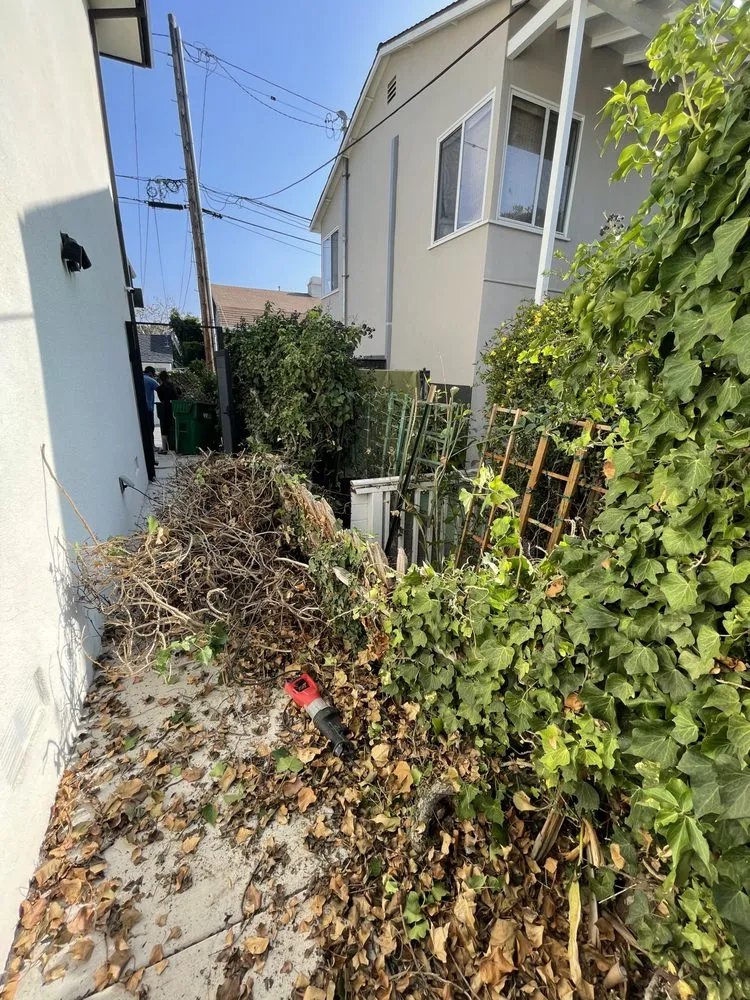 Expert electrical service for homes in lighting installation,  by 