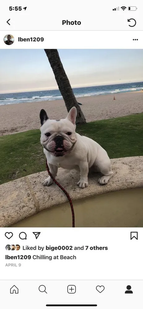 Slide of Florida Electricians