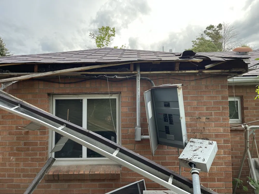 Slide of Flowers Electric