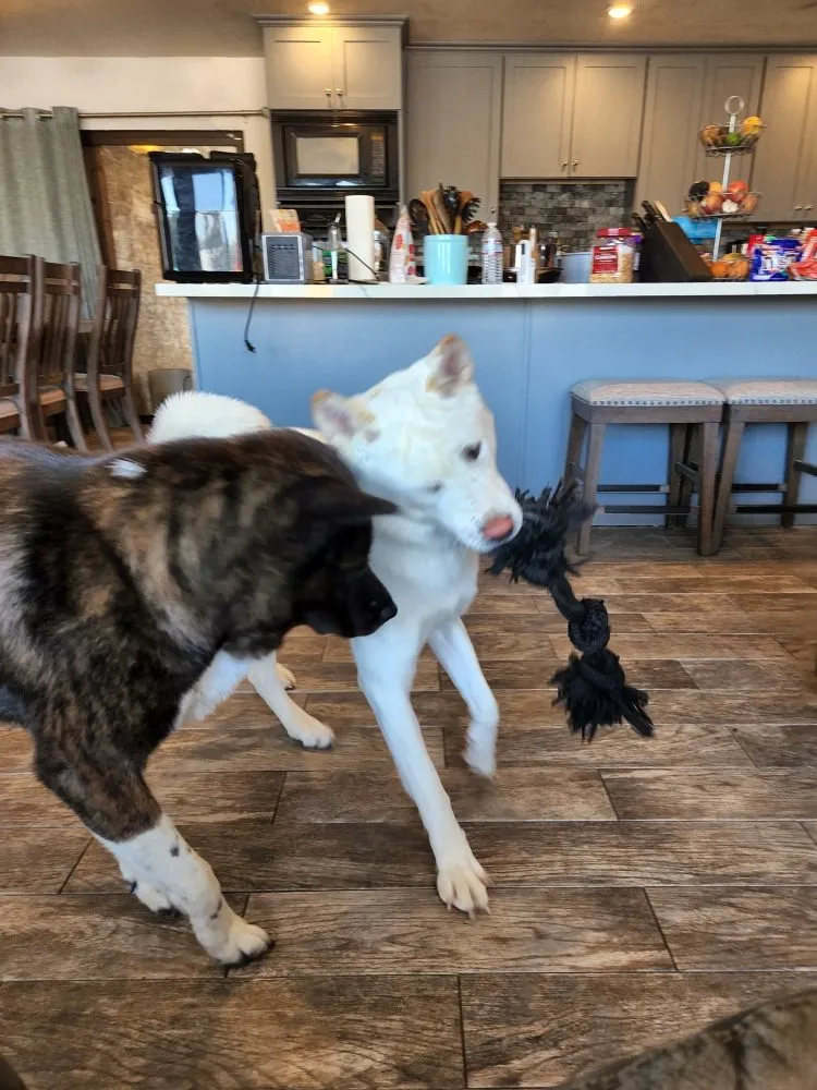 Slide of FMC Electric