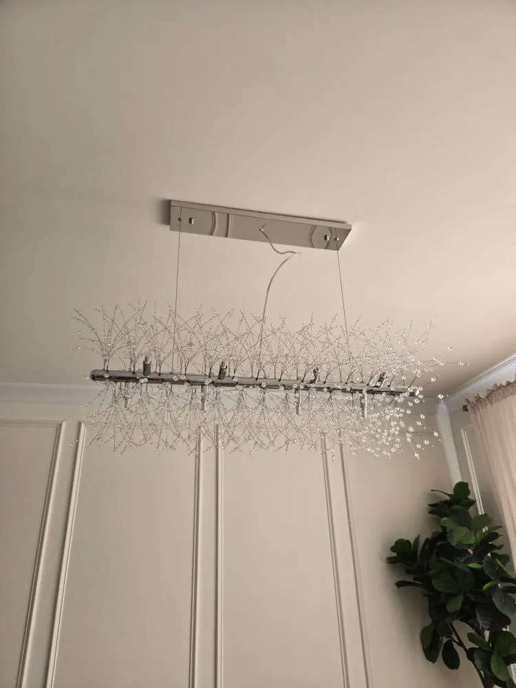 Slide of Fnu Handy Man