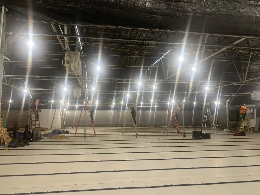 Slide of Force electric