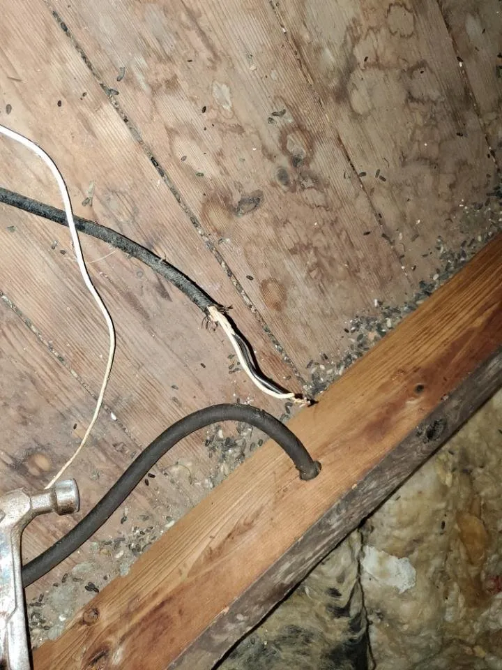 Emergency electrician providing circuit breaker repair in Karnack, TX - Ford Electric