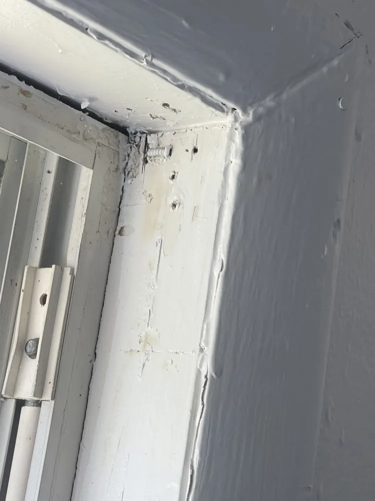 Slide of Foreign Brothers