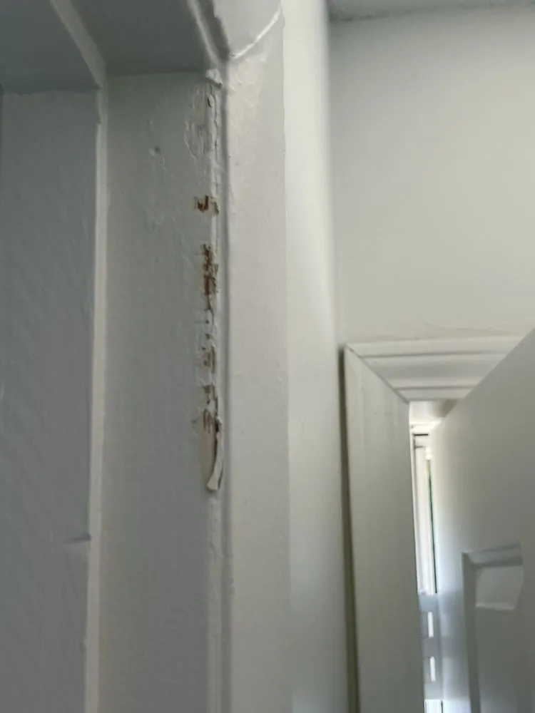 Trusted outlet and switch repair in Tuscaloosa, AL by Foreign Brothers
