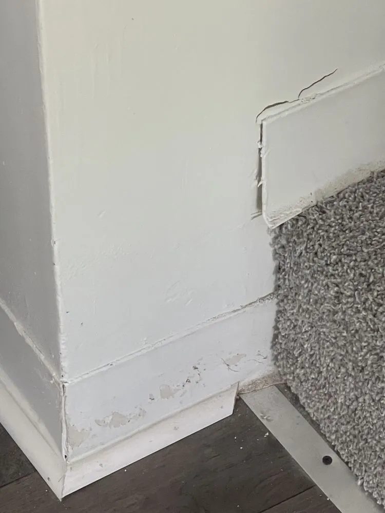 Slide of Foreign Brothers