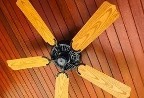 Slide of Forest Electric