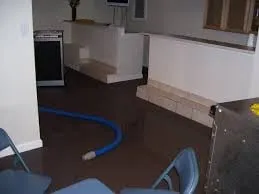 Slide of Forrest Electric Corp