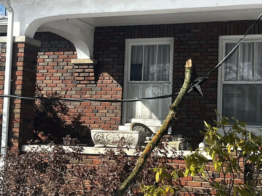 Slide of Forrest Healey Electric