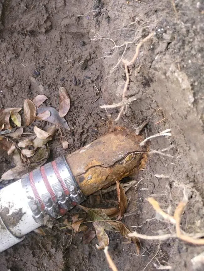 Slide of Fortis Pros