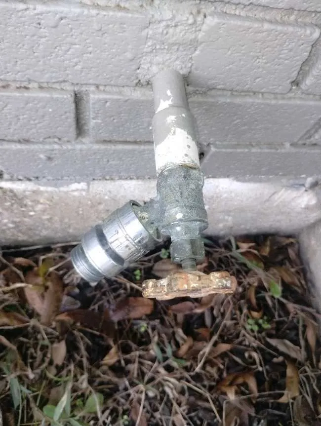 Slide of Fortis Pros