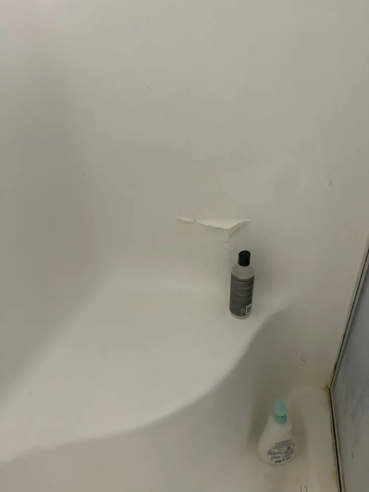 Slide of Fortis Pros