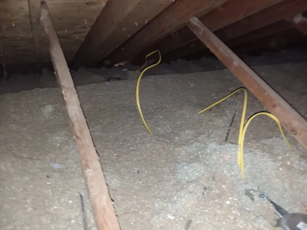 Reliable outlet and switch repair experts serving Winston-Salem, NC - Fortus Electric