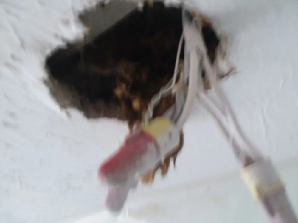 Affordable electrical repair in Winston-Salem, NC by Fortus Electric