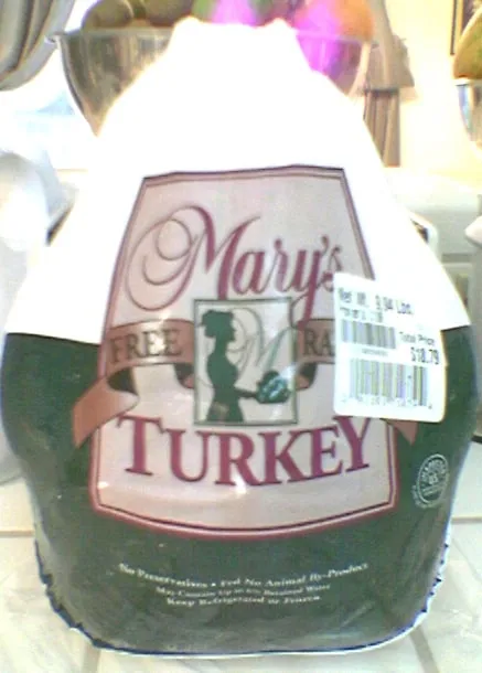 Slide of Four Seasons Electric Corp