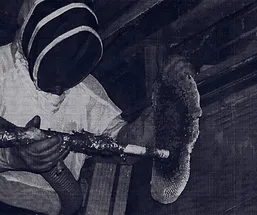 Slide of Four Seasons Electric