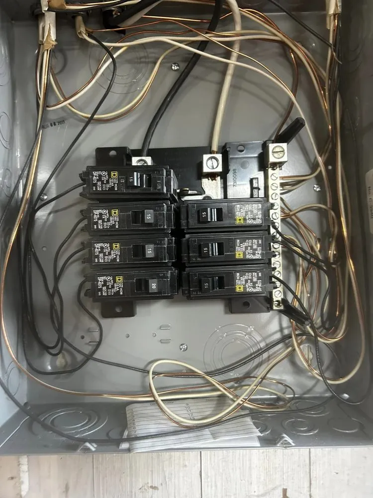 Slide of Francisco Paulino Electrician