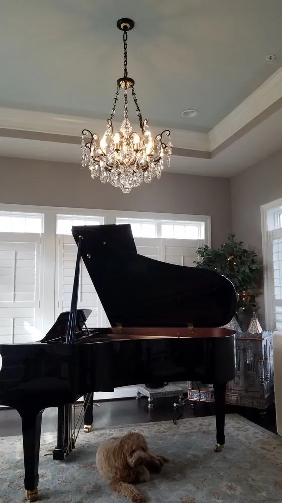 Licensed electrician providing outlet and switch repair in , 