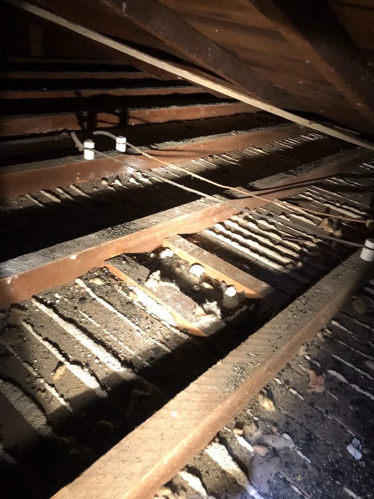 Slide of Frank Electric