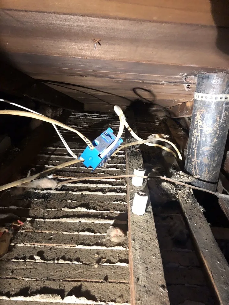 Slide of Frank Electric