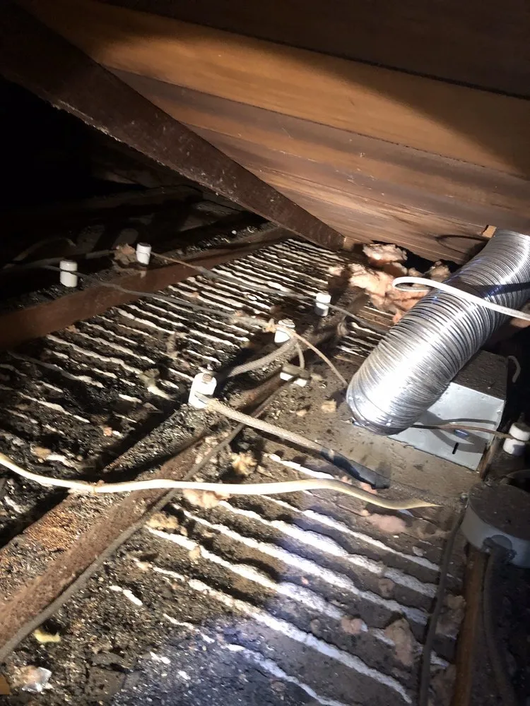 Slide of Frank Electric