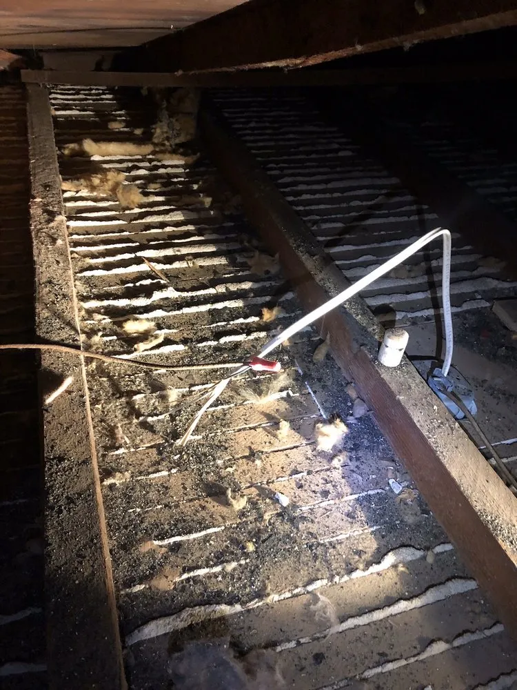 Slide of Frank Electric