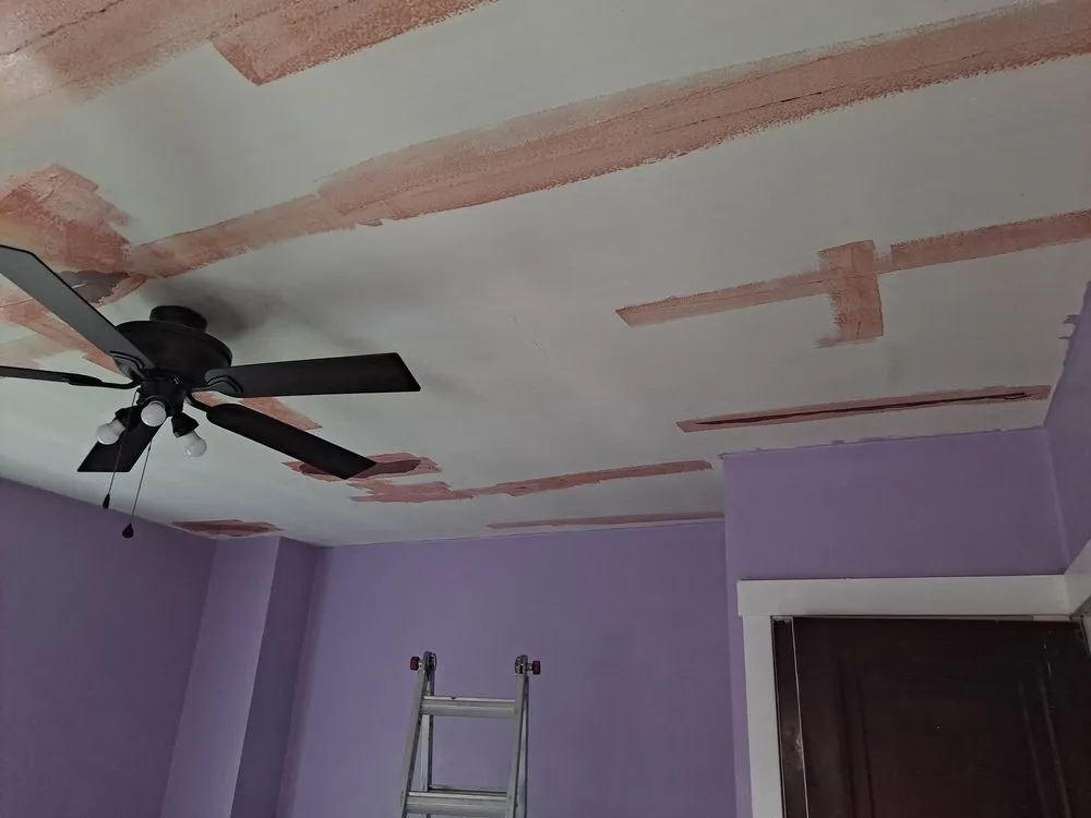 Affordable outlet and switch repair in ,  by Frank Pelone Painting and Handyman Services