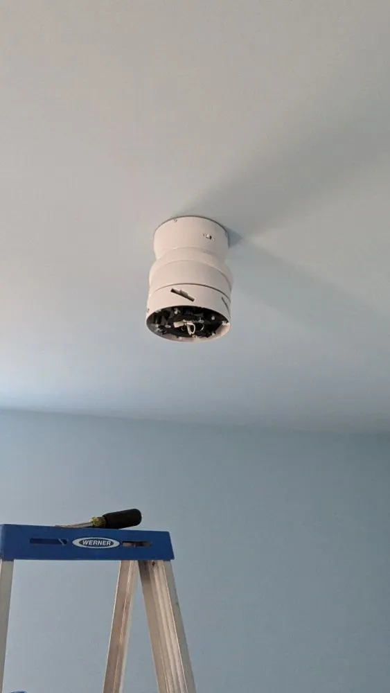 Slide of Frankie Expert Electric