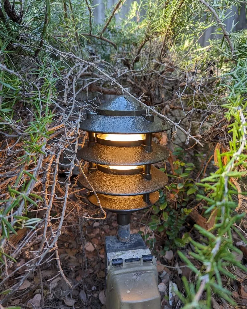 Slide of Frankie Expert Electric