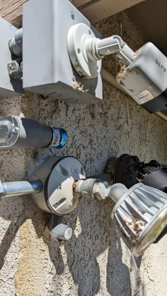 Slide of Frankie Expert Electric