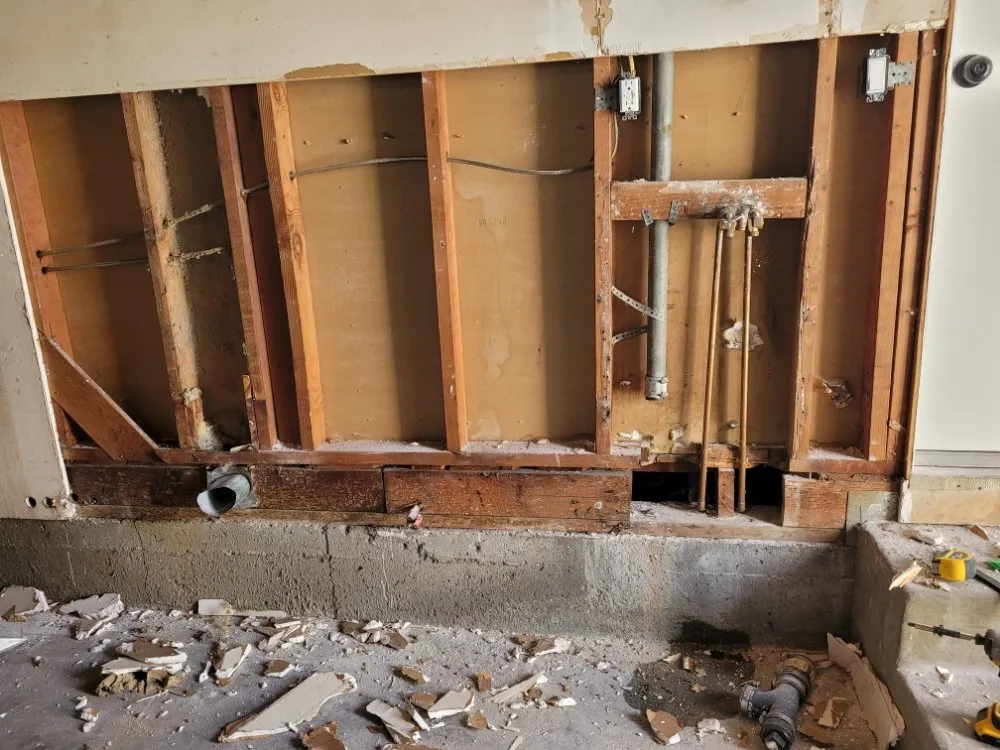 Slide of Frankie the Handyman