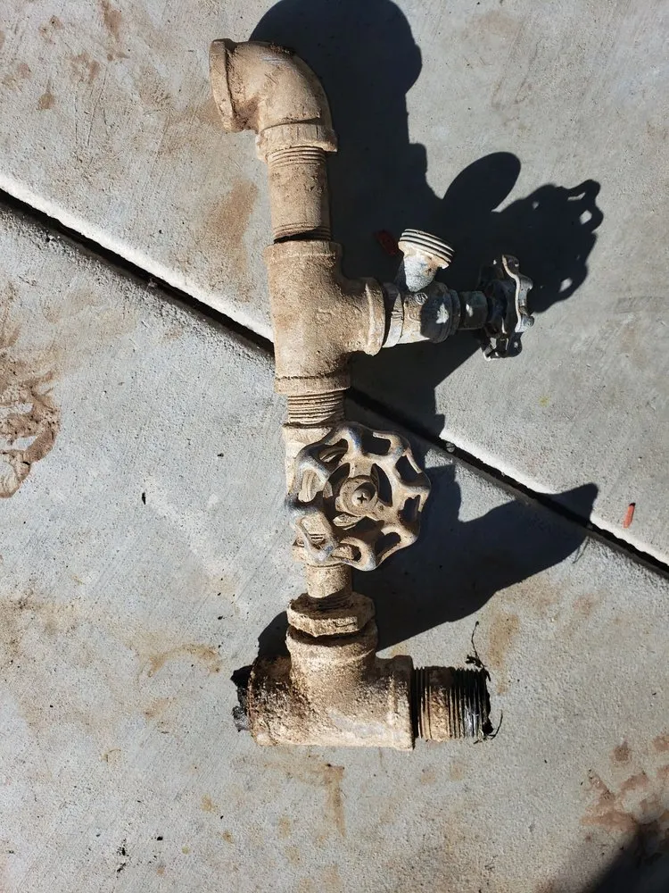 Slide of Frankie the Handyman