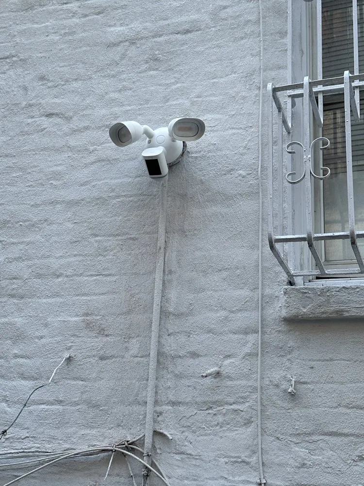 Slide of Franquiz Watt