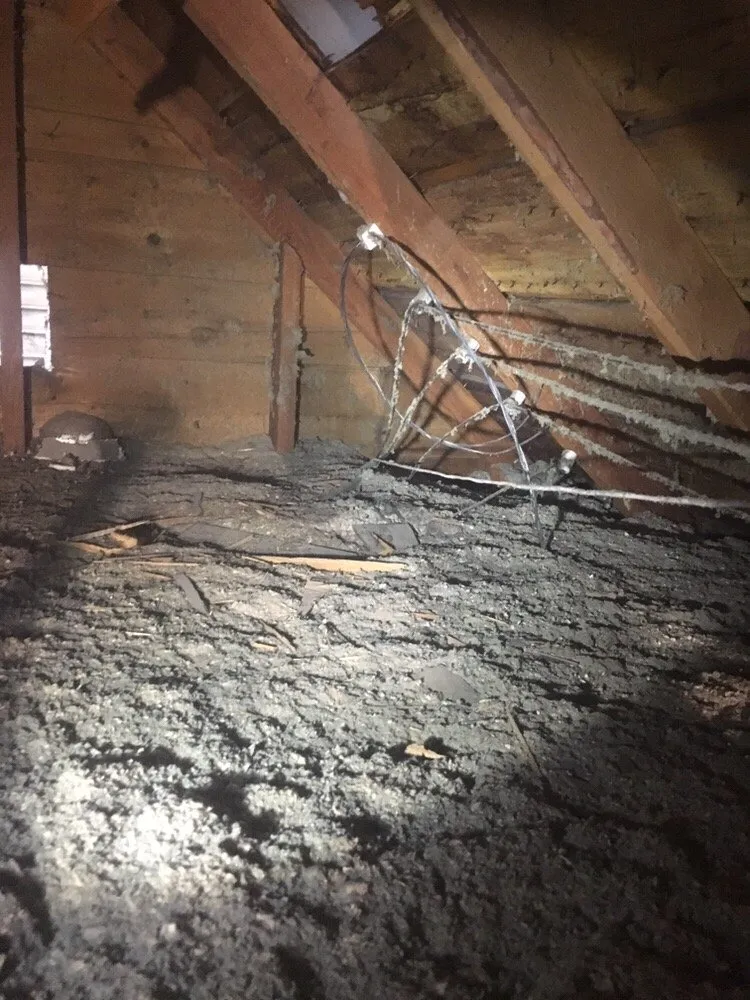 Slide of Franssen's Electric