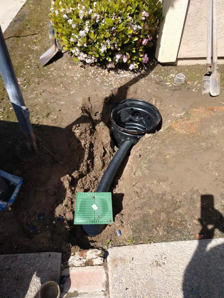 Expert outlet and switch repair experts serving , - Fraser Construction