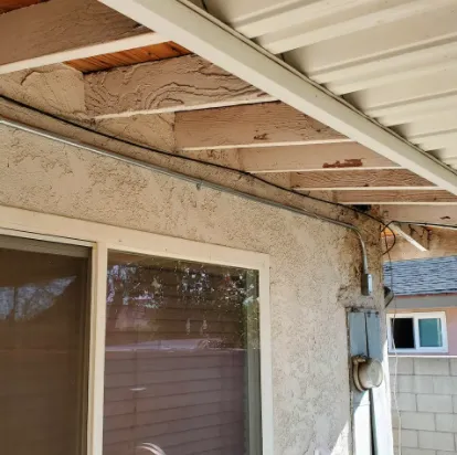 Slide of Freebird Electric