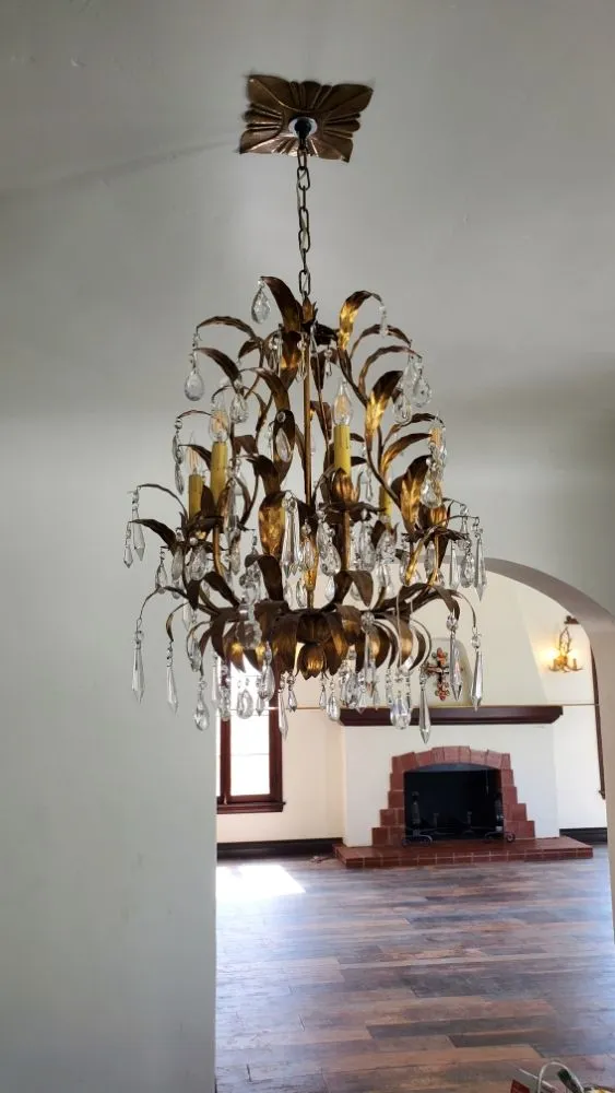 Slide of Freebird Electric