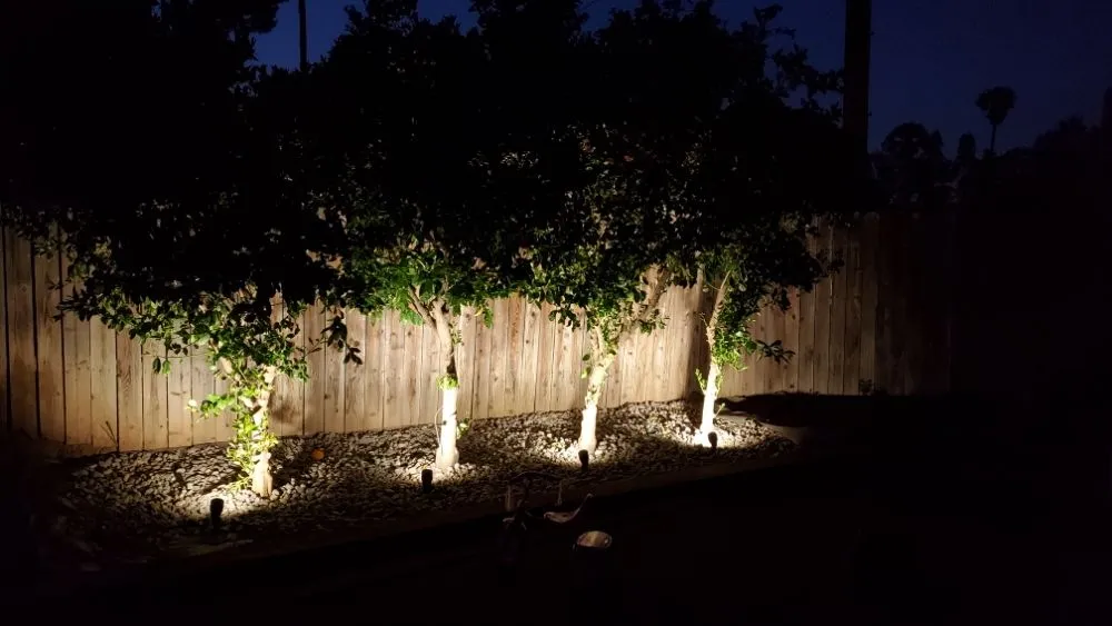 Slide of Freebird Electric