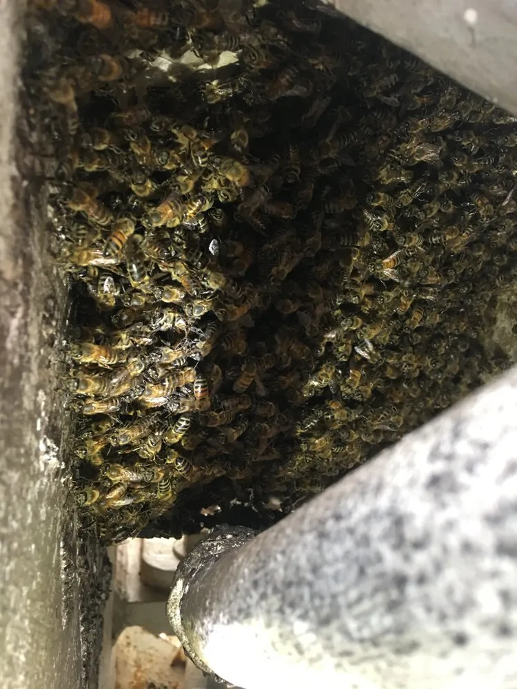 Slide of Freedom Commercial & Home Services