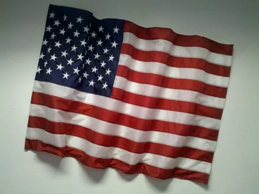 Freedom Electric Logo