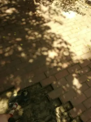 Slide of Freitag handyman service