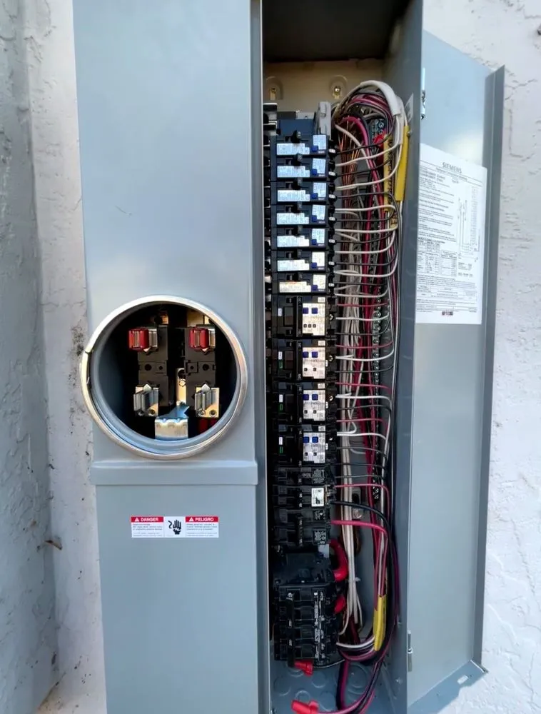 Slide of Fried Electric