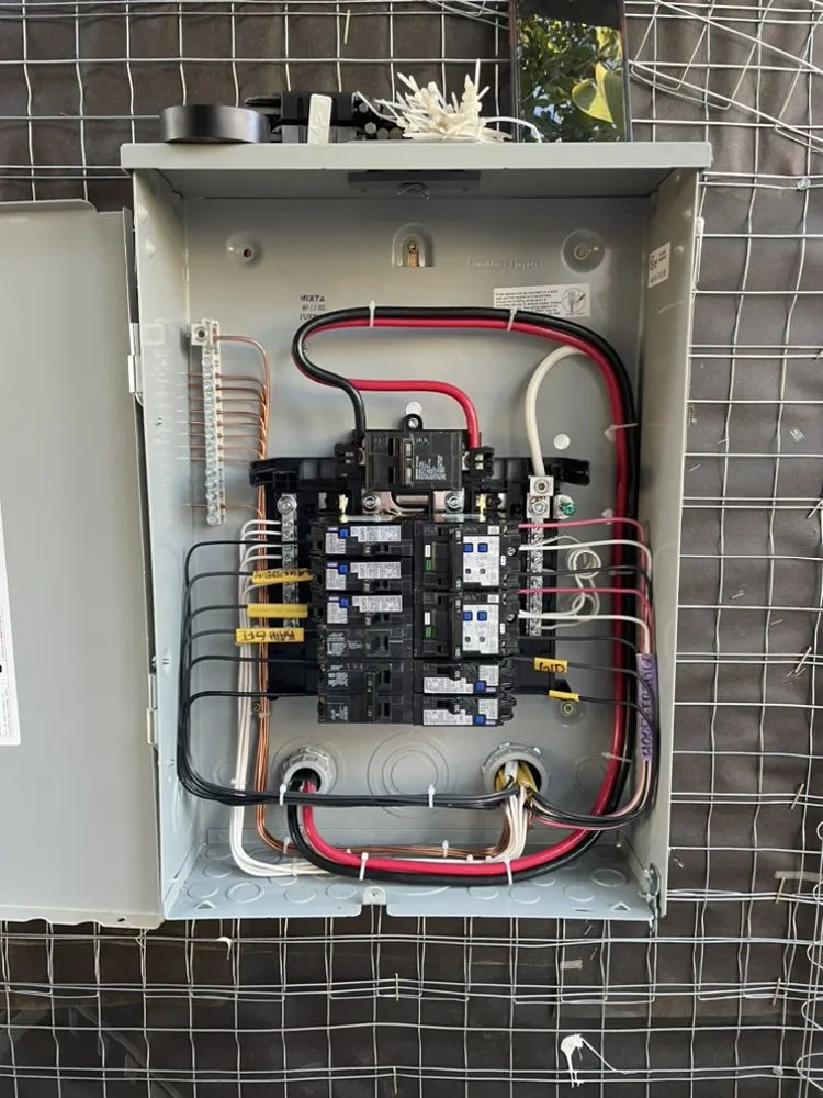 Slide of Fried Electric