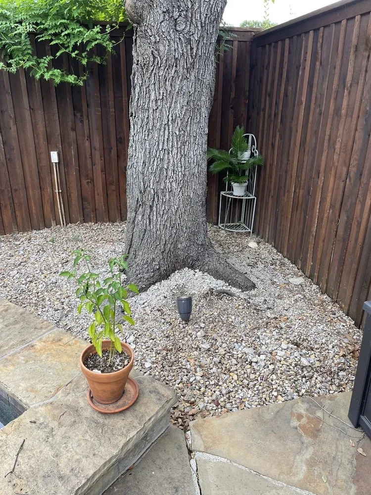 Slide of Frisco Electric