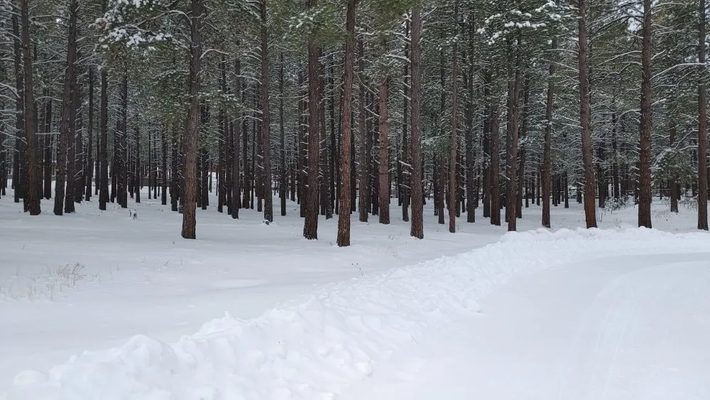 Slide of Frost Peak Electric